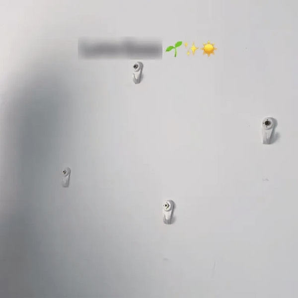 TIJDELIJK 50% KORTING  VerdeWall™ 