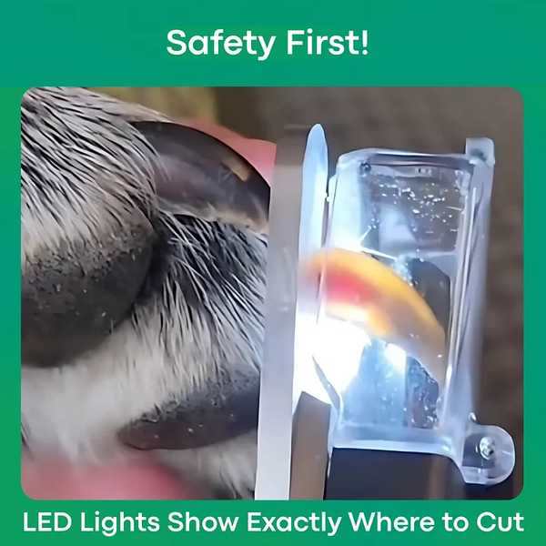 TIJDELIJK 50% KORTING  PawProtec™