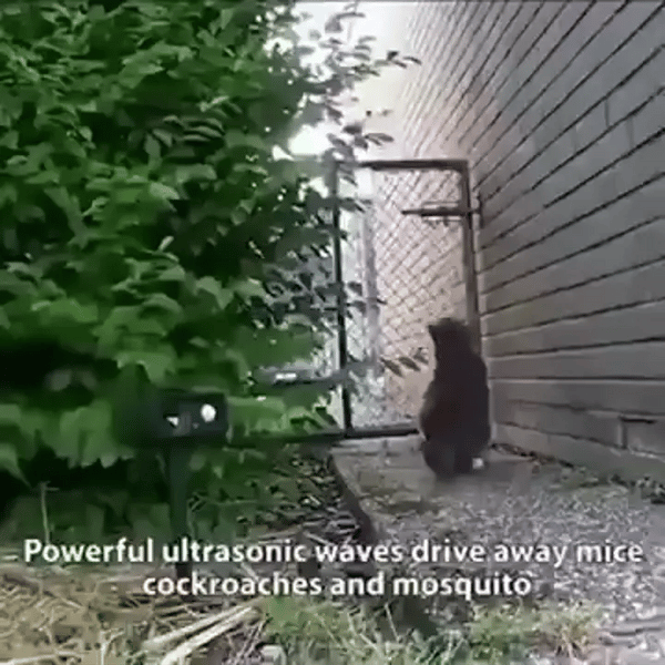 TIJDELIJK 50% KORTING  SolGuard™