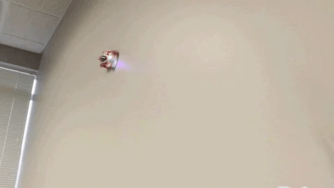 TIJDELIJK 50% KORTING  GravityRacer™ 