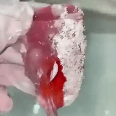 TIJDELIJK 50% KORTING  HydroFloss™