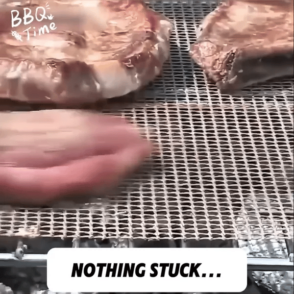 1 + 2 GRATIS VANDAAG  BBQMesh™