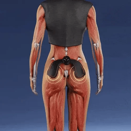 TIJDELIJK 50% KORTING  GlutePulse™