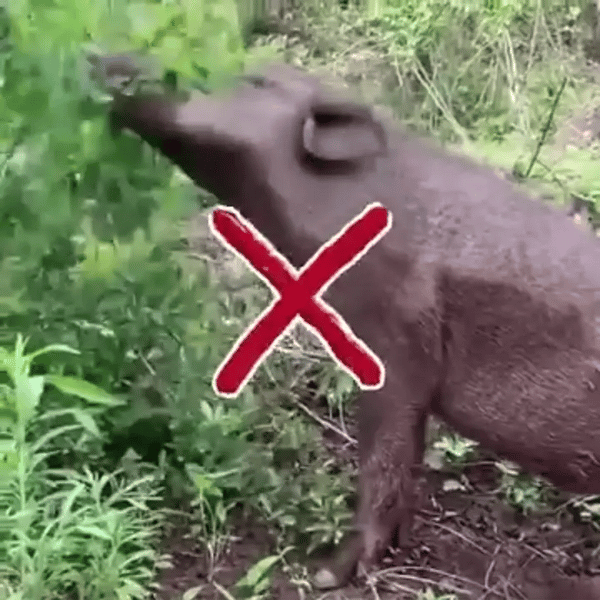 TIJDELIJK 50% KORTING  SolGuard™