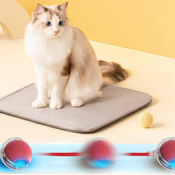 1 + 1 GRATIS VANDAAG  WhirlPaw™