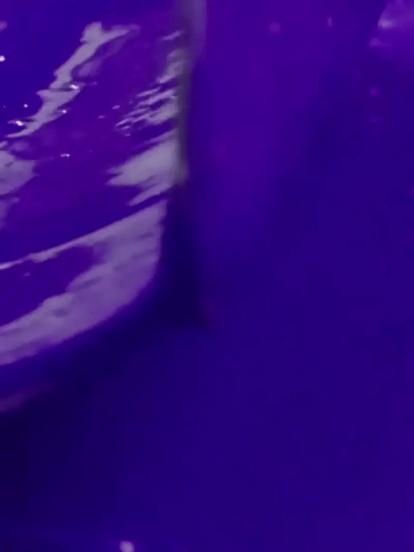 1 + 1 GRATIS VANDAAG  VioLustre™