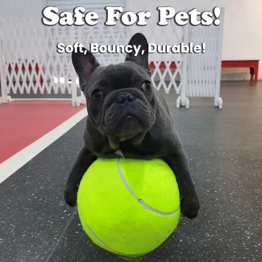 TIJDELIJK 50% KORTING | MegaFetch™