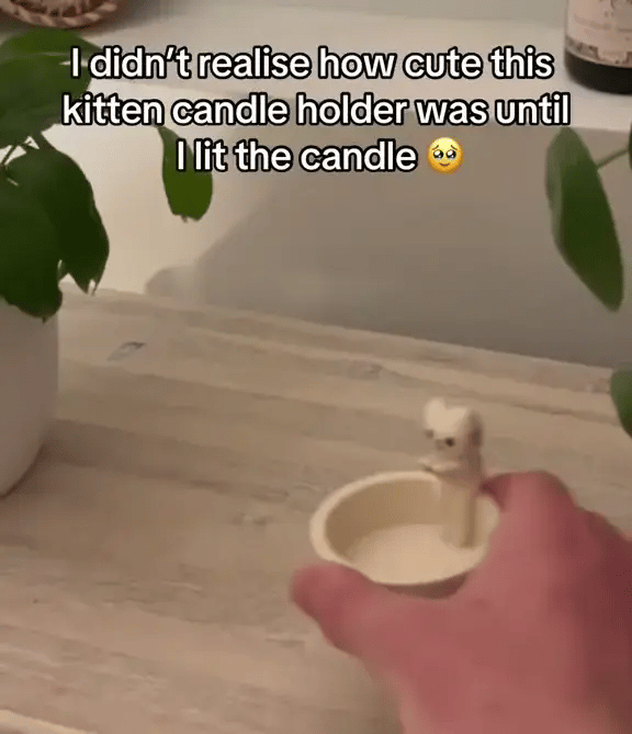 1 + 1 GRATIS VANDAAG  FelineFlame™