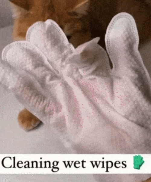 1 + 1 GRATIS HEUTE  PawFresh™