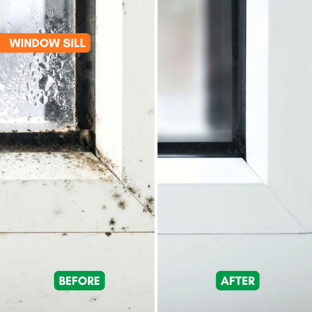 2 + 1 GRATIS VANDAAG | MoldClear™