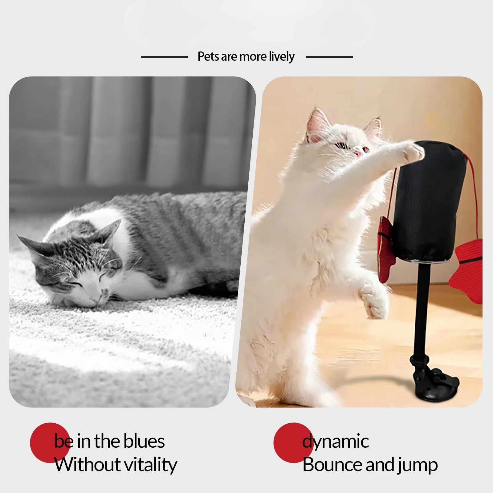 TIJDELIJK 50% KORTING | PounceBag™