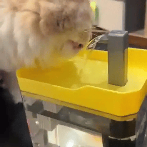 TIJDELIJK 50% KORTING  HydroPurr™