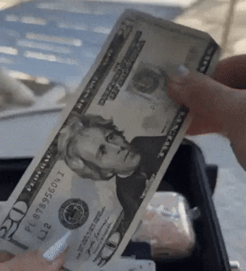 TIJDELIJK 50% KORTING  PortaVault™