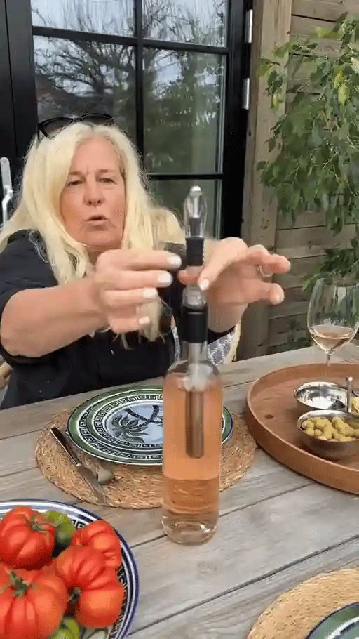 TIJDELIJK 50% KORTING  ChillRod™ - Vino Chill