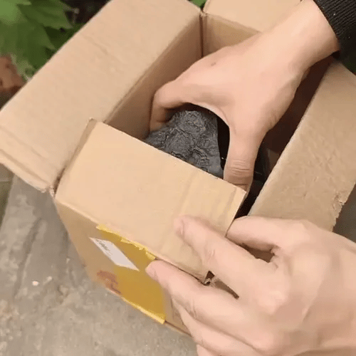 TIJDELIJK 50% KORTING  BeamRock™ 