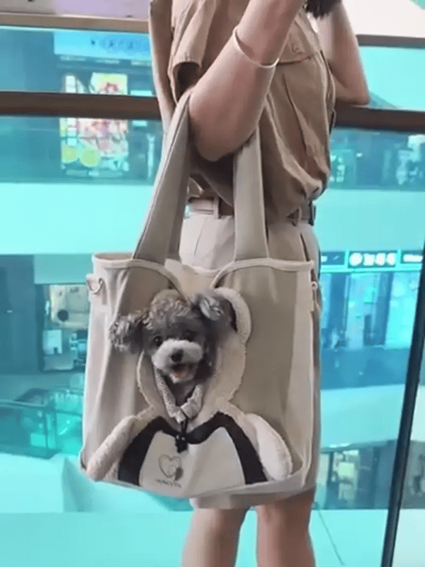 TIJDELIJK 50% KORTING  PawVenturer™