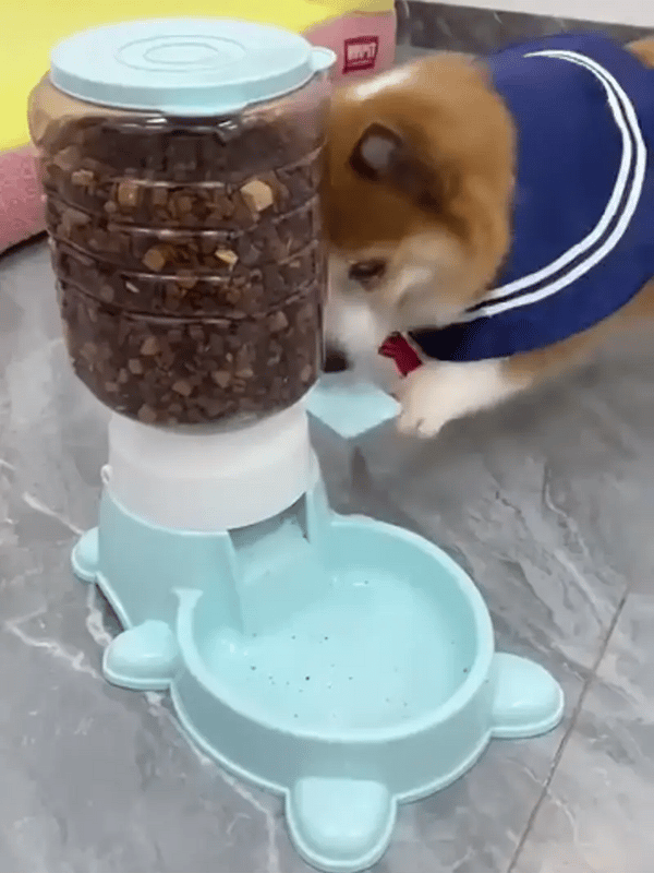 TIJDELIJK 50% KORTING  PawSmart™