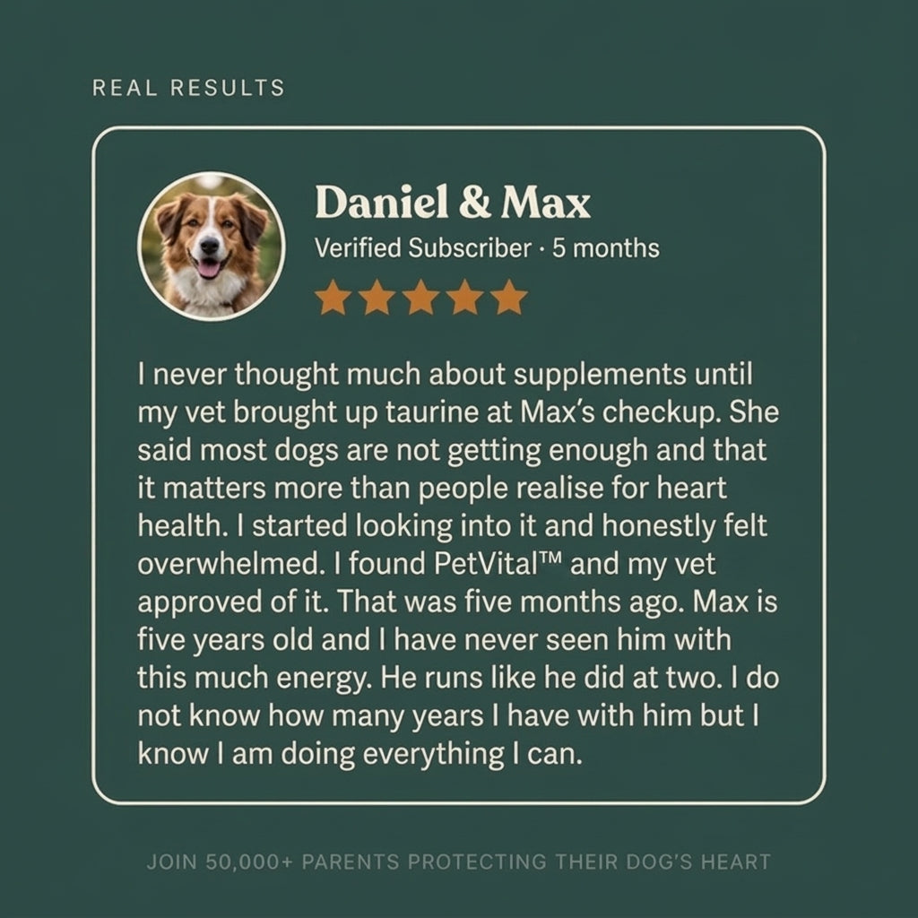 TIJDELIJK 50% KORTING | PetVital™ Taurinepoeder