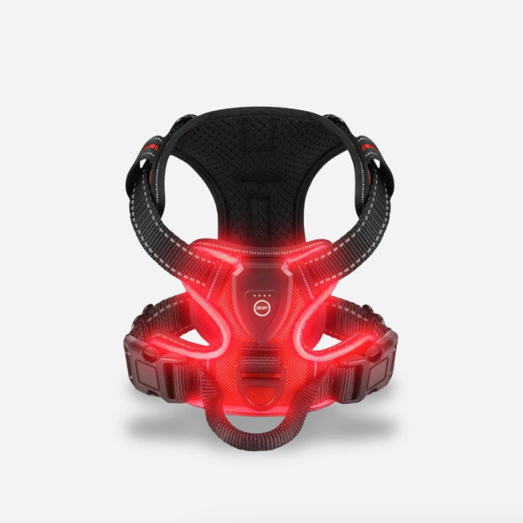 TIJDELIJK 50% KORTING | GloLeash™