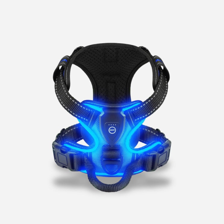 TIJDELIJK 50% KORTING | GloLeash™
