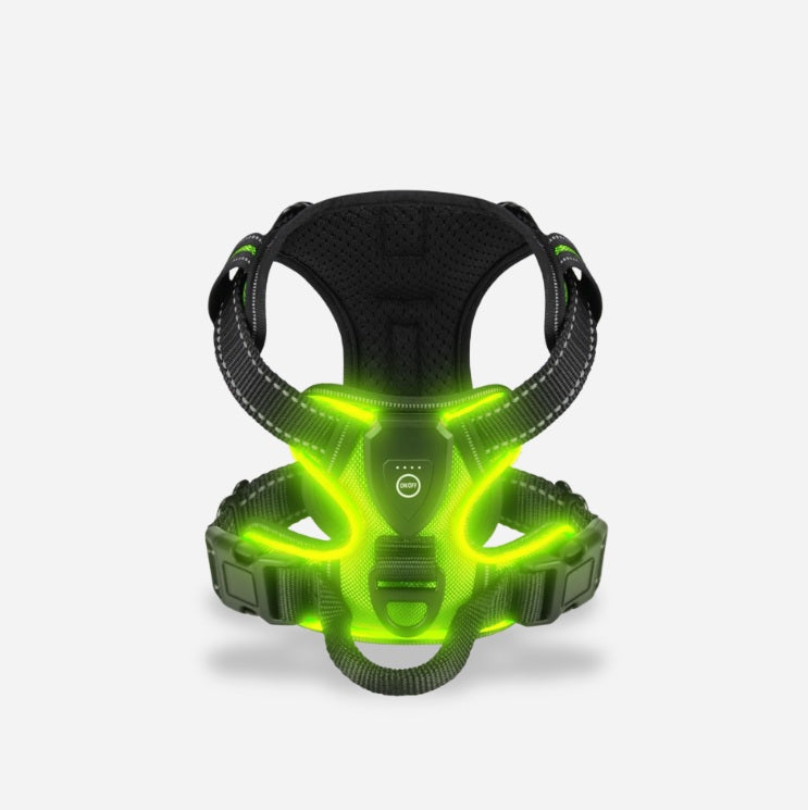 TIJDELIJK 50% KORTING | GloLeash™