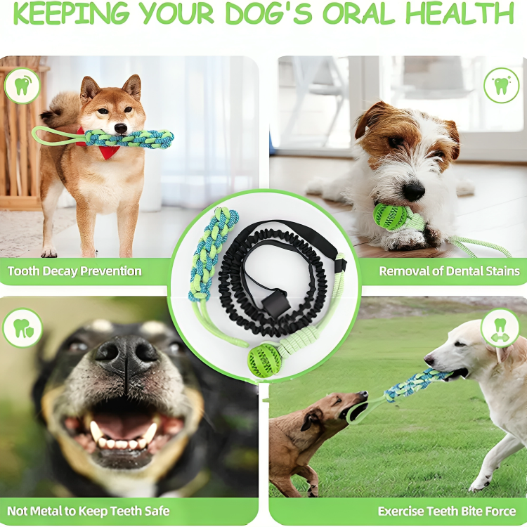 TIJDELIJK 50% KORTING | PupTug™ | Eindeloos interactief spelen voor actieve honden!