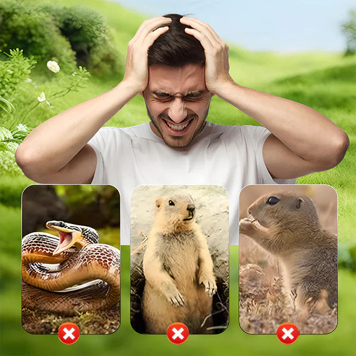 1 + 1 GRATIS VANDAAG | SolarGuard™