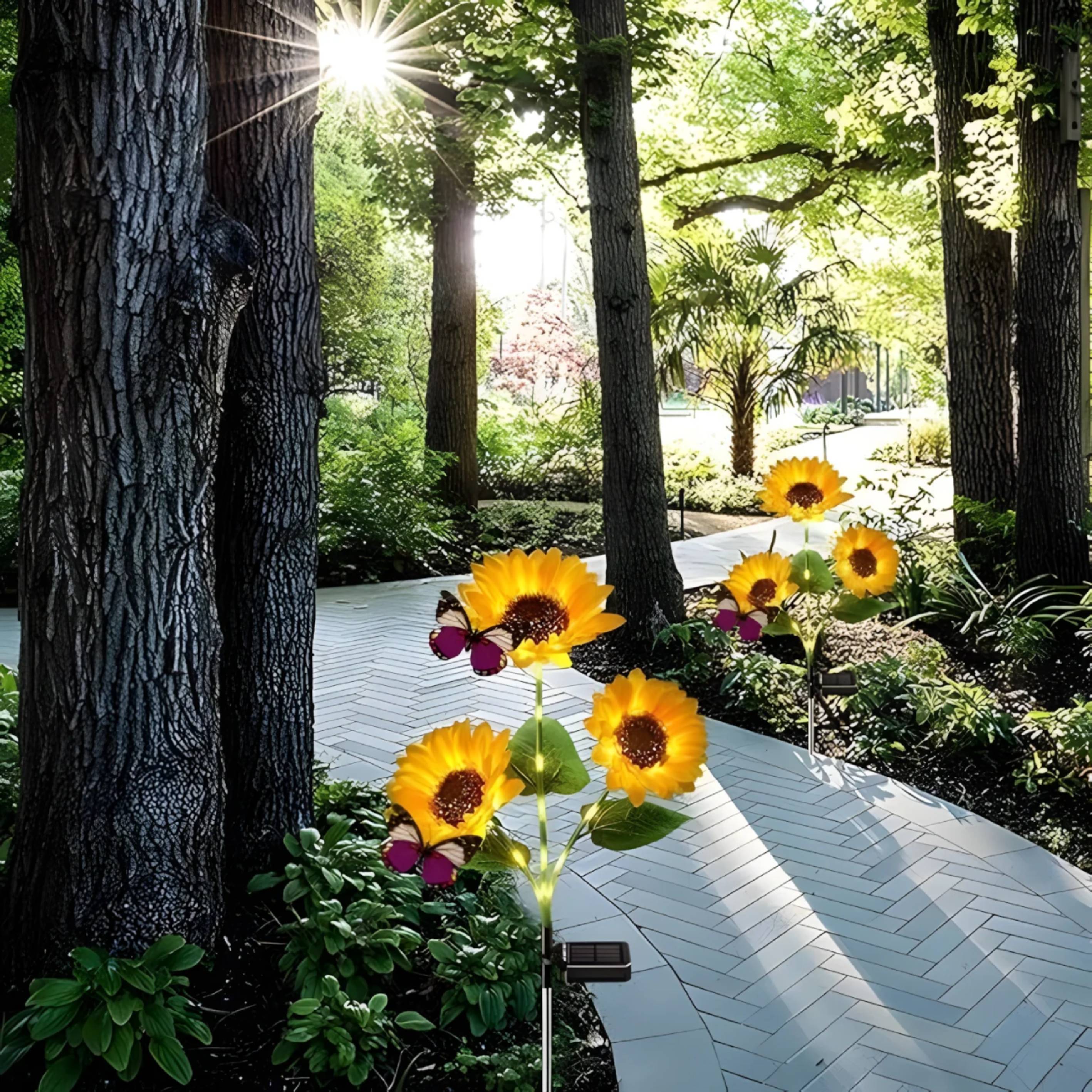 1 + 1 GRATIS VANDAAG | SolarBloom™