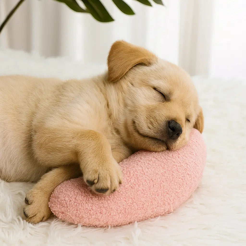 TIJDELIJK 50% KORTING | PawCuddle™