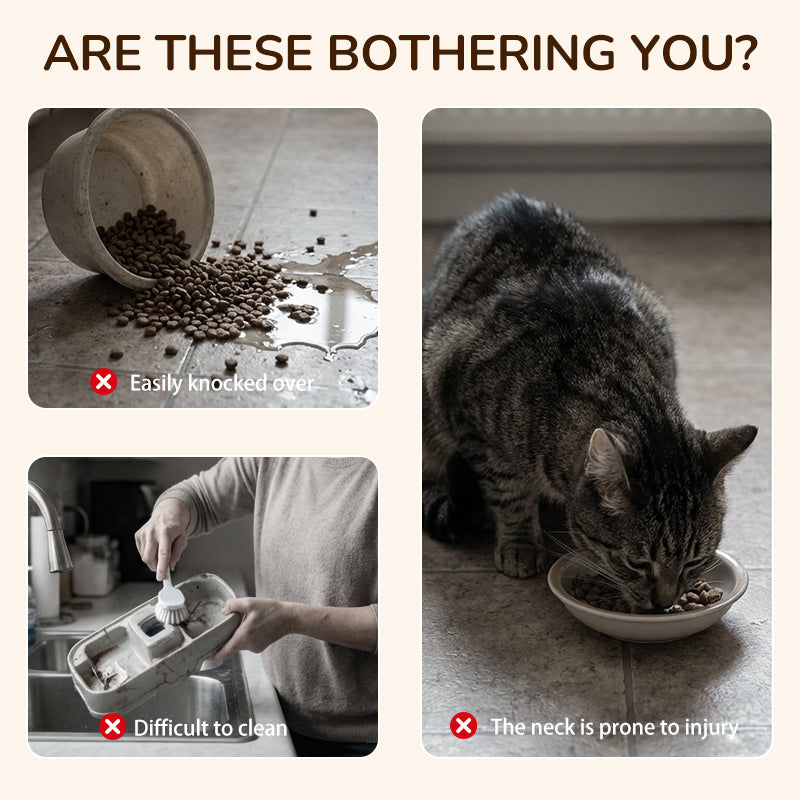 TIJDELIJK 50% KORTING | PawFeast™
