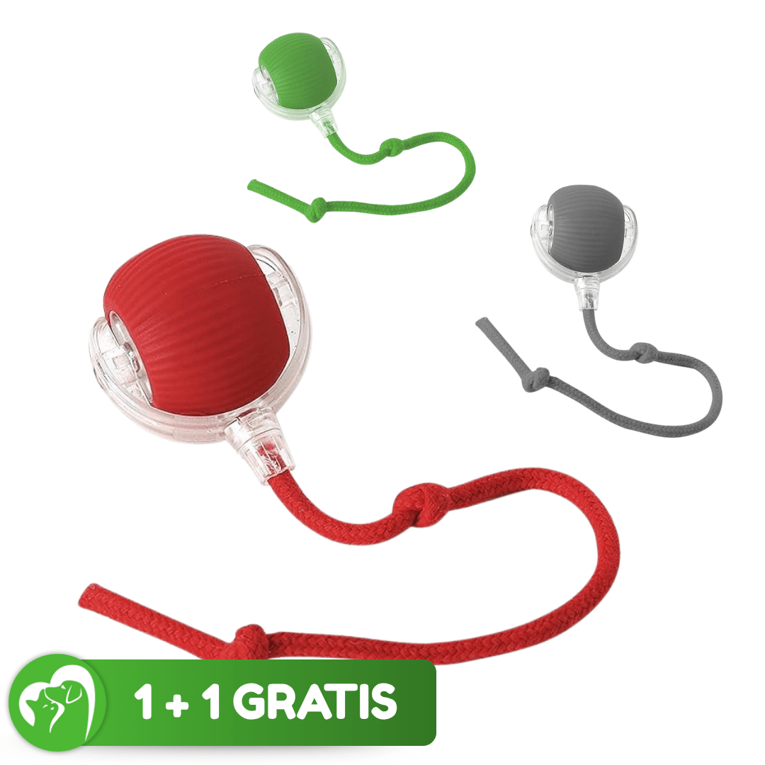 1 + 1 GRATIS VANDAAG | WhirlPaw™