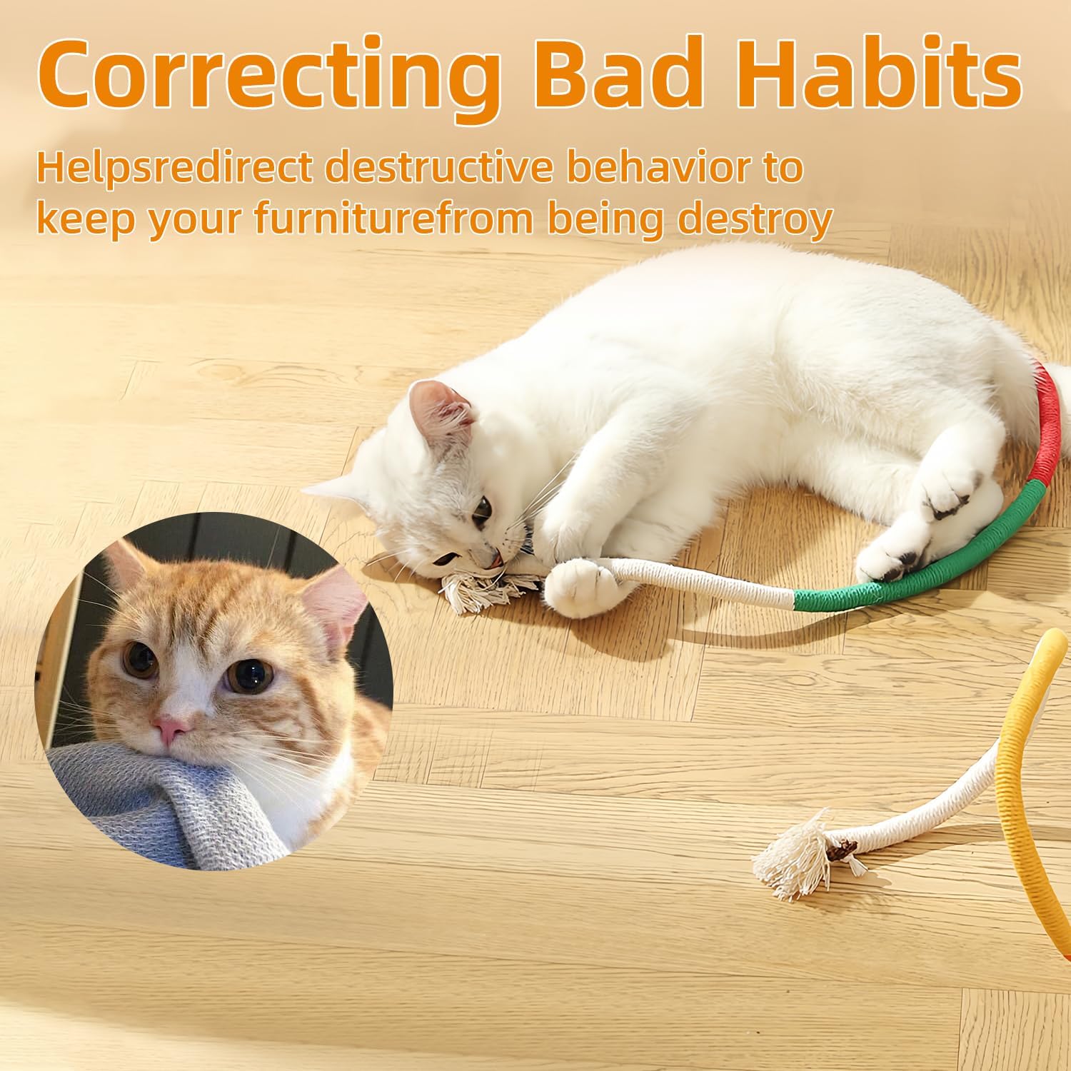 3 + 3 GRATIS VANDAAG | KittyKnot™