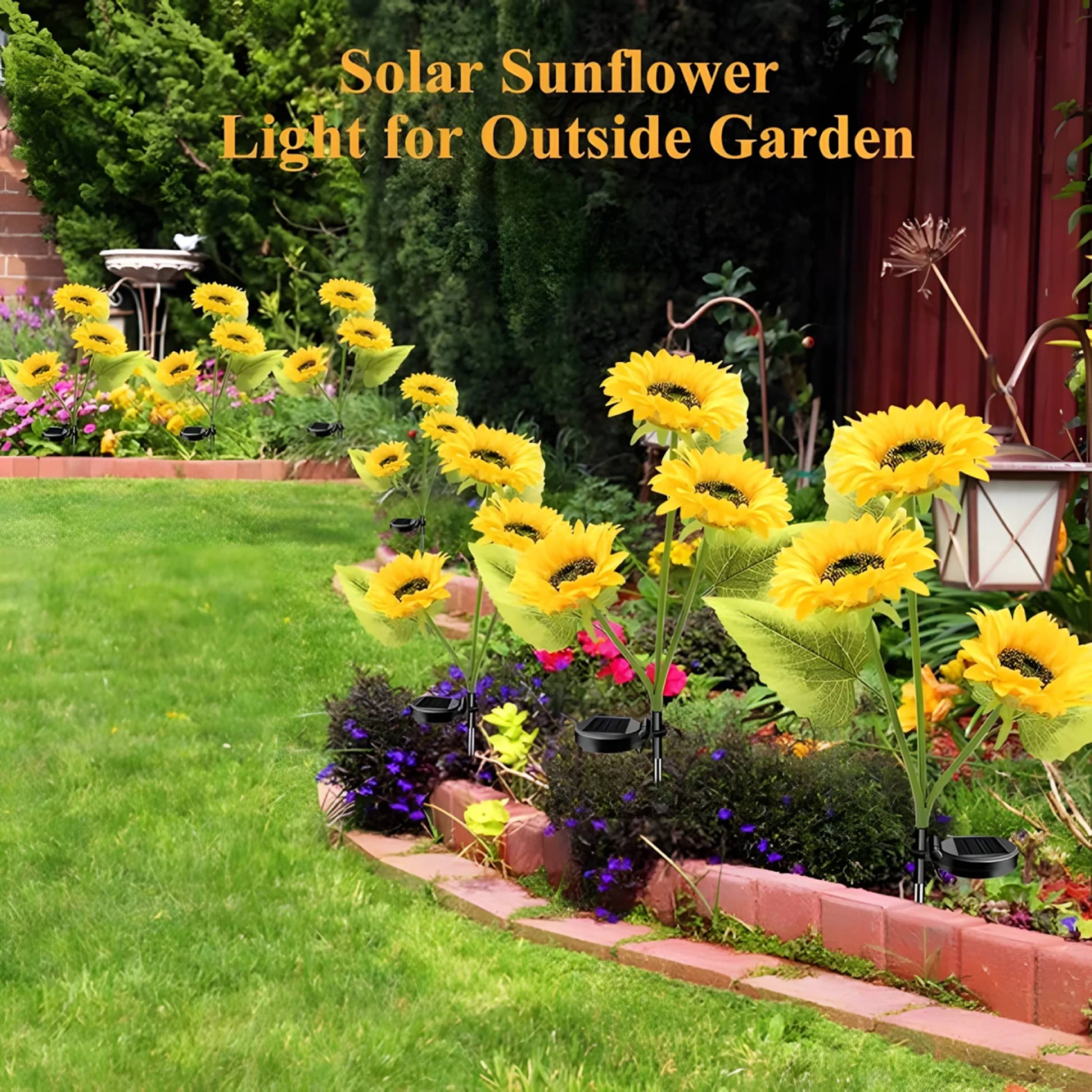 1 + 1 GRATIS VANDAAG | SolarBloom™