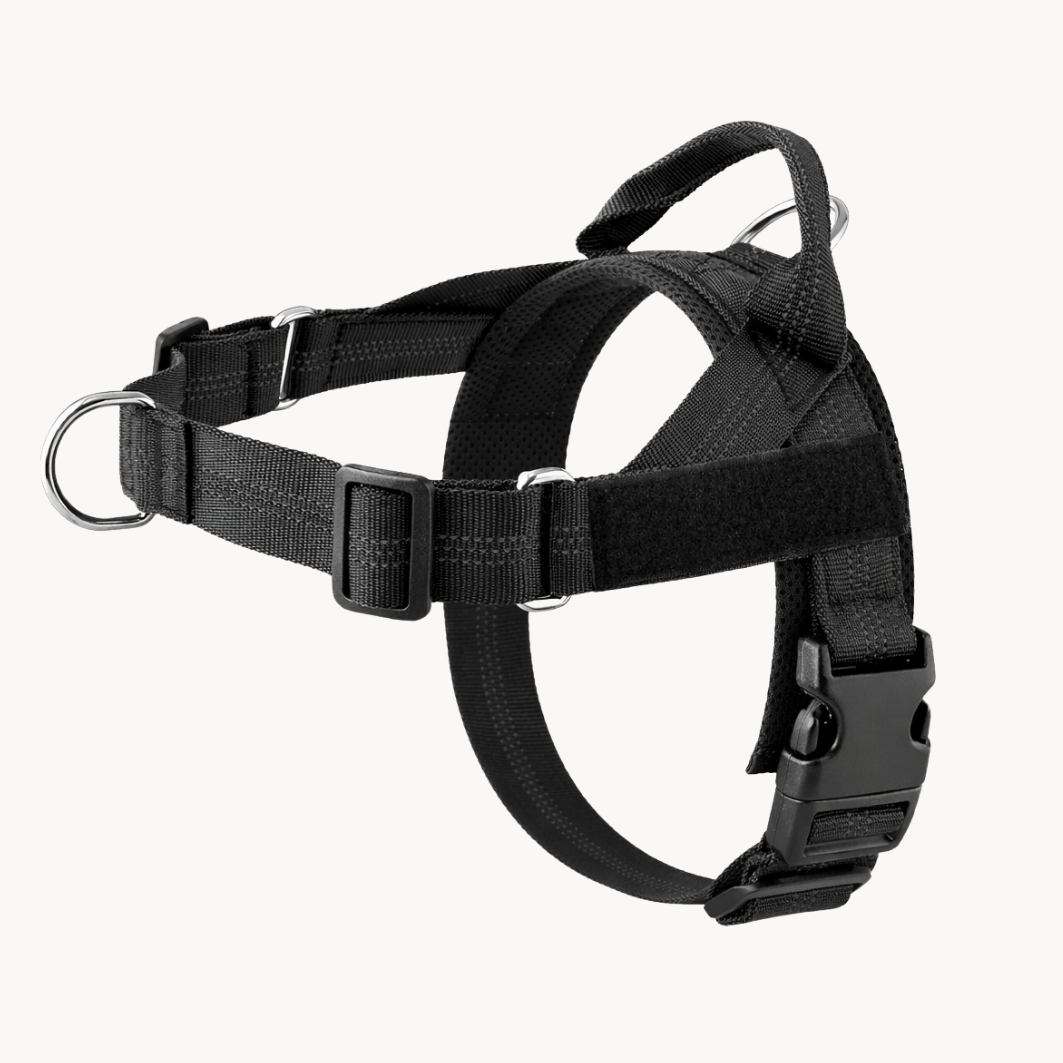 TIJDELIJK 50% KORTING | NoTug™ - Anti-trektuig