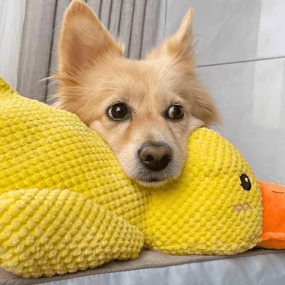 TIJDELIJK 50% KORTING | TuffDuck™