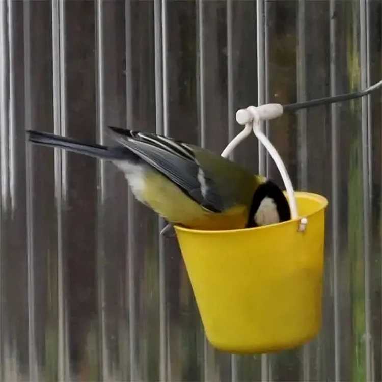 TIJDELIJK 50% KORTING | TweetTreat™