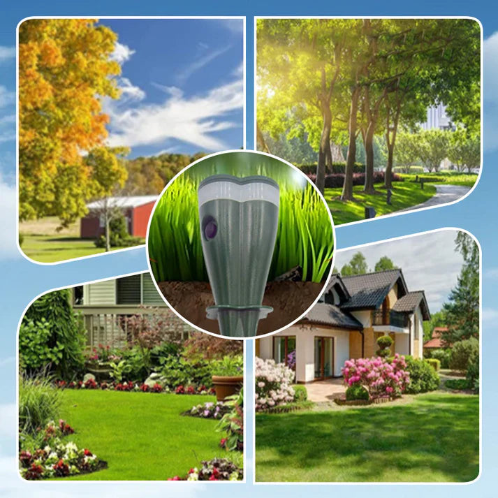 1 + 1 GRATIS VANDAAG | SolarGuard™