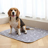 1 + 1 GRATIS VANDAAG | PetPad™