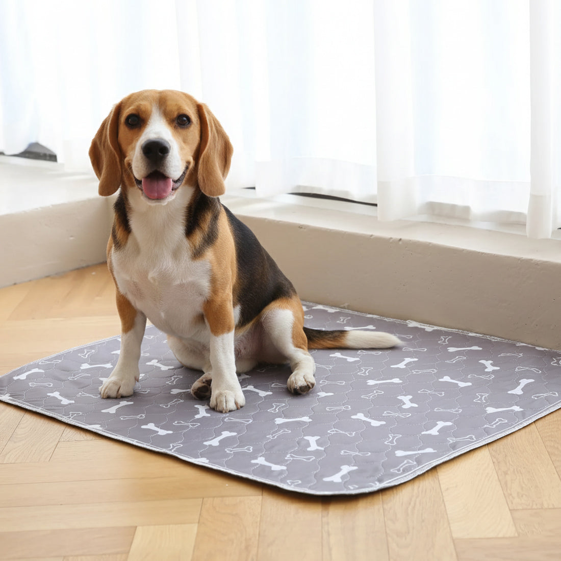 1 + 1 GRATIS VANDAAG | PetPad™