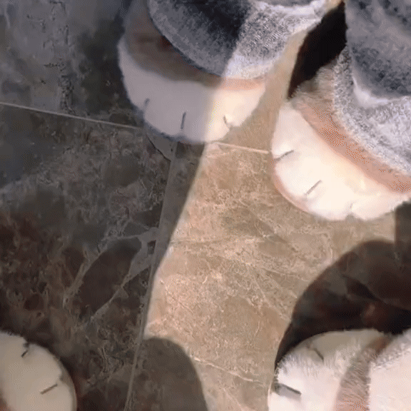 TIJDELIJK 50% KORTING  PurrStep™