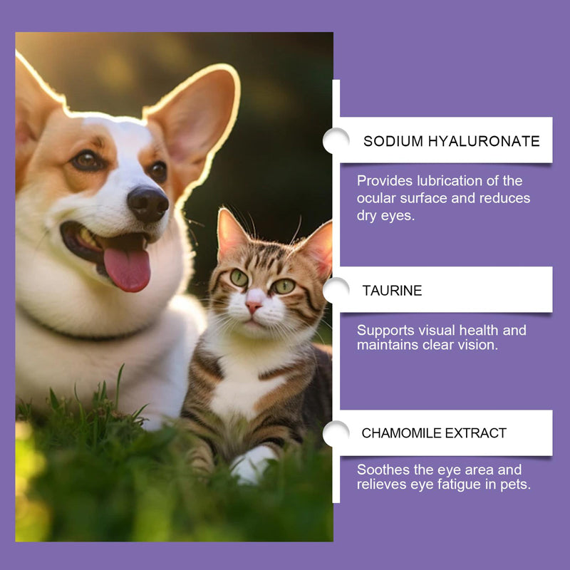 1 + 1 GRATIS VANDAAG | PawVision™