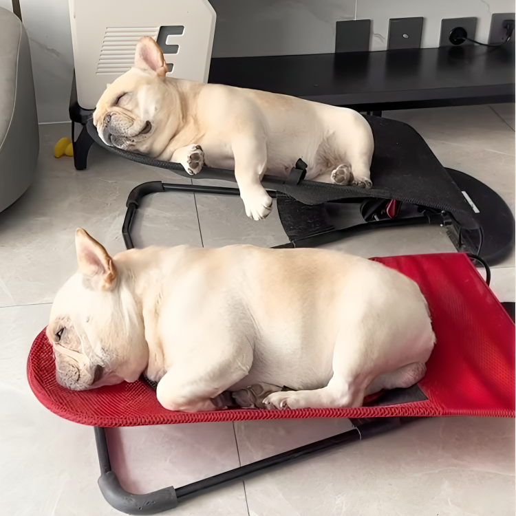 CozyRocker™ | Draagbare schommelstoel voor huisdieren