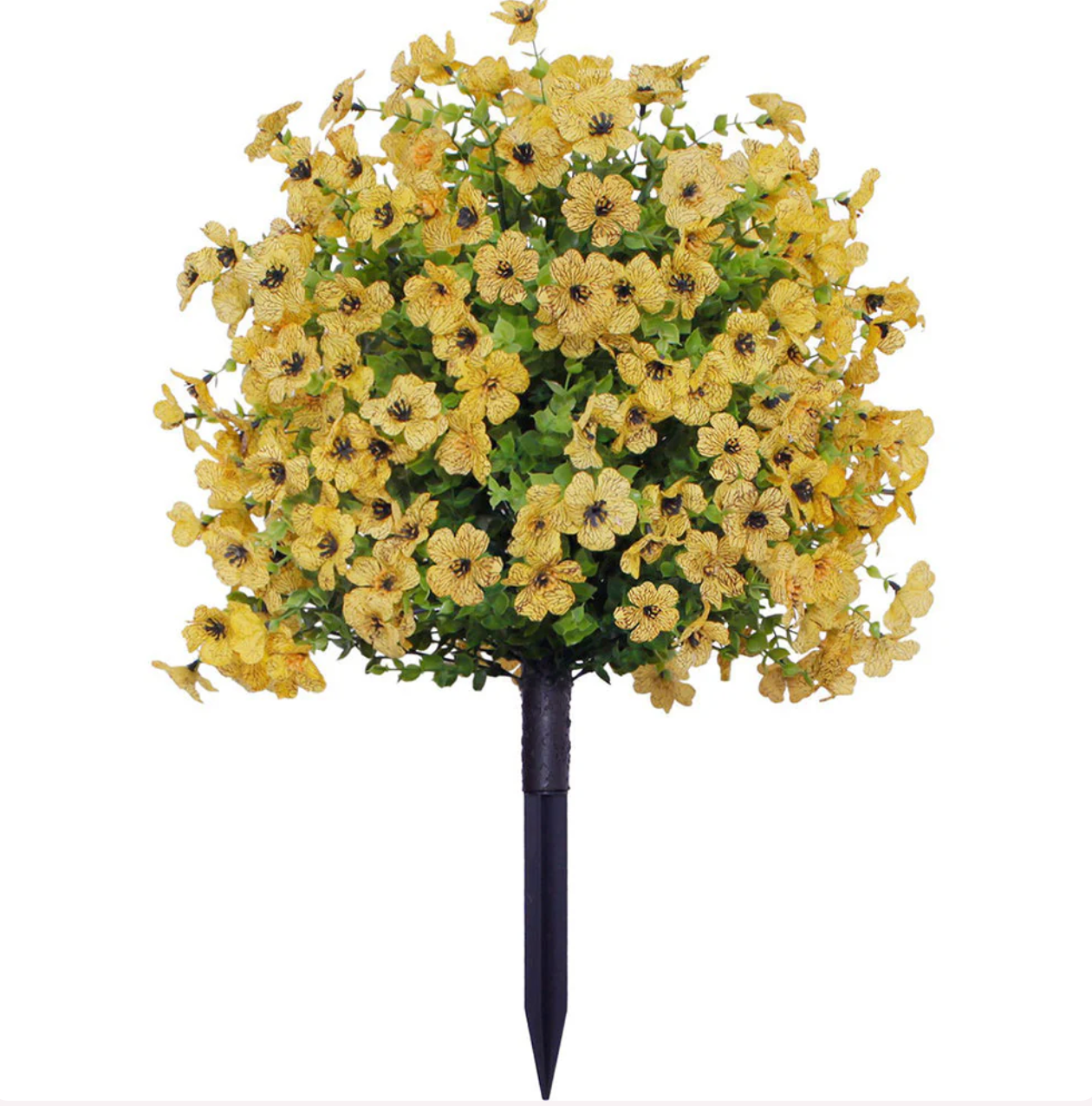 TIJDELIJK 50% KORTING | EverFlora™