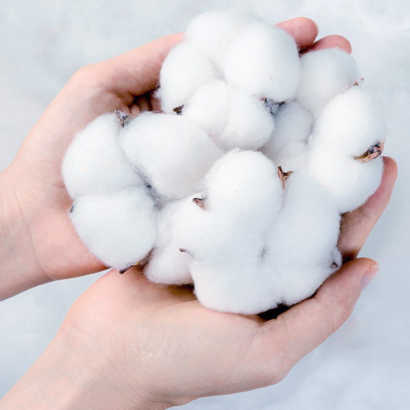 1 + 2 GRATIS VANDAAG | CuddleCloud™