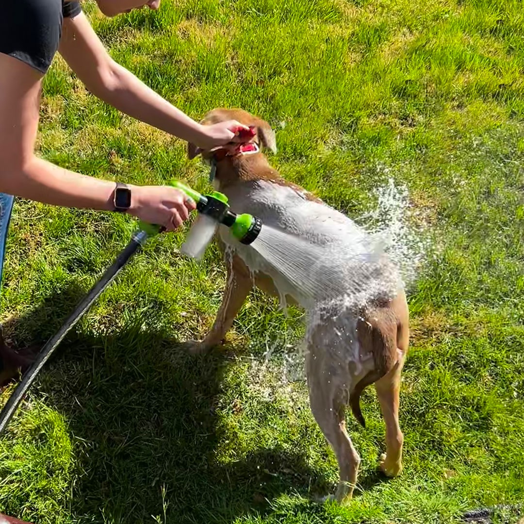 JetPaws™ | Hogedrukpistool voor hondendouche