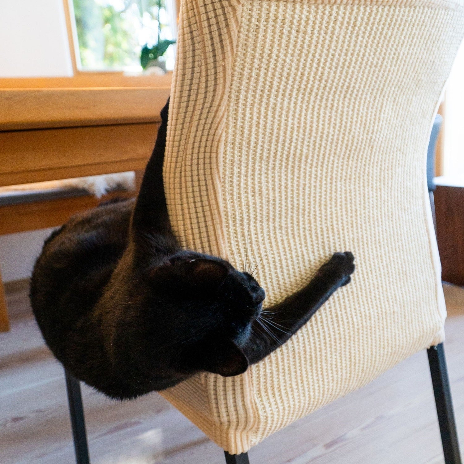 TIJDELIJK 50% KORTING | ScratchSeat™