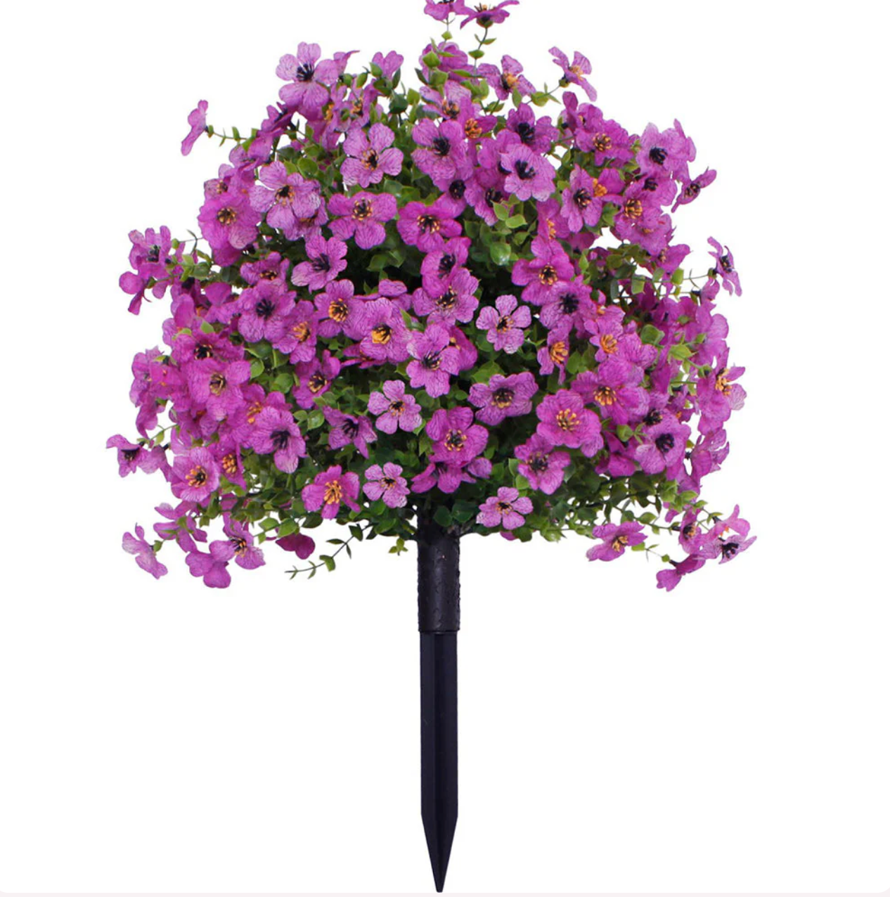 TIJDELIJK 50% KORTING | EverFlora™