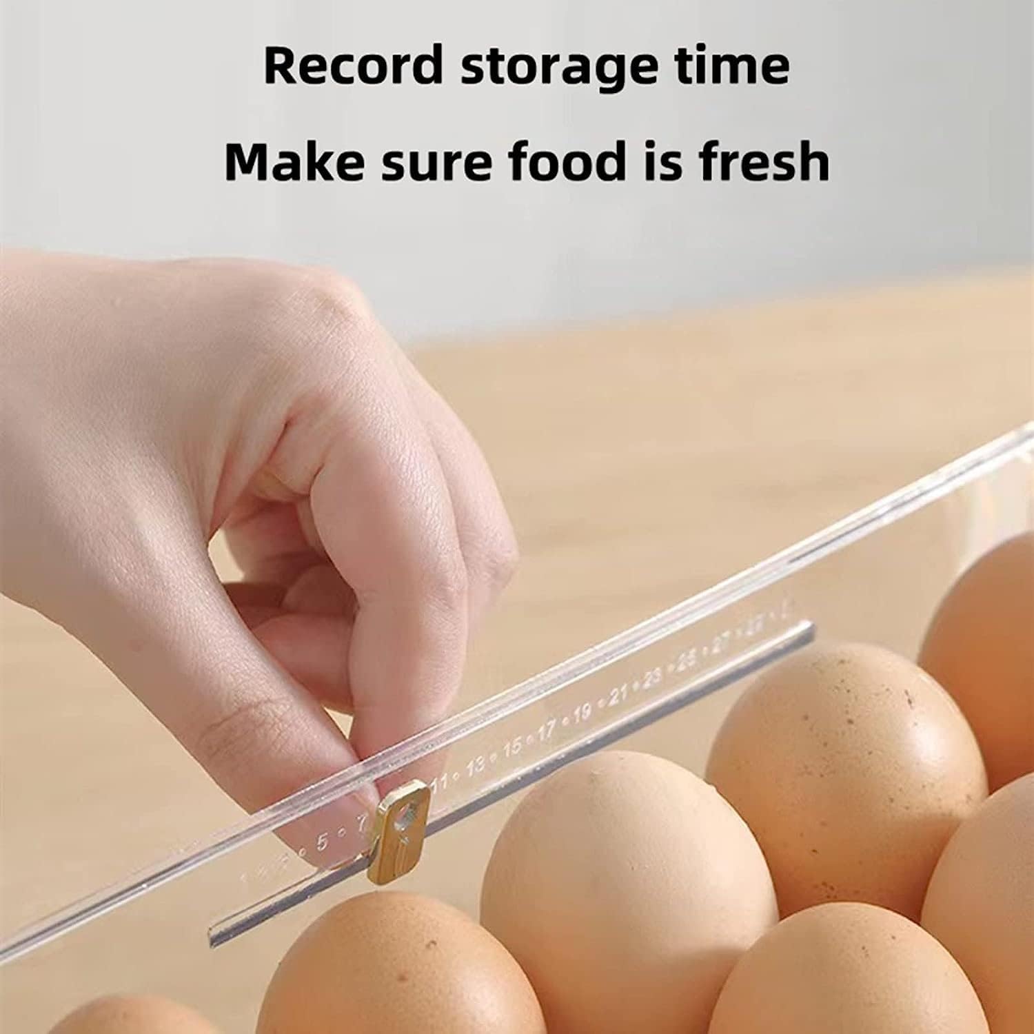 TIJDELIJK 50% KORTING | EggVault360™