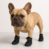 TIJDELIJK 50% KORTING | PawSafe™