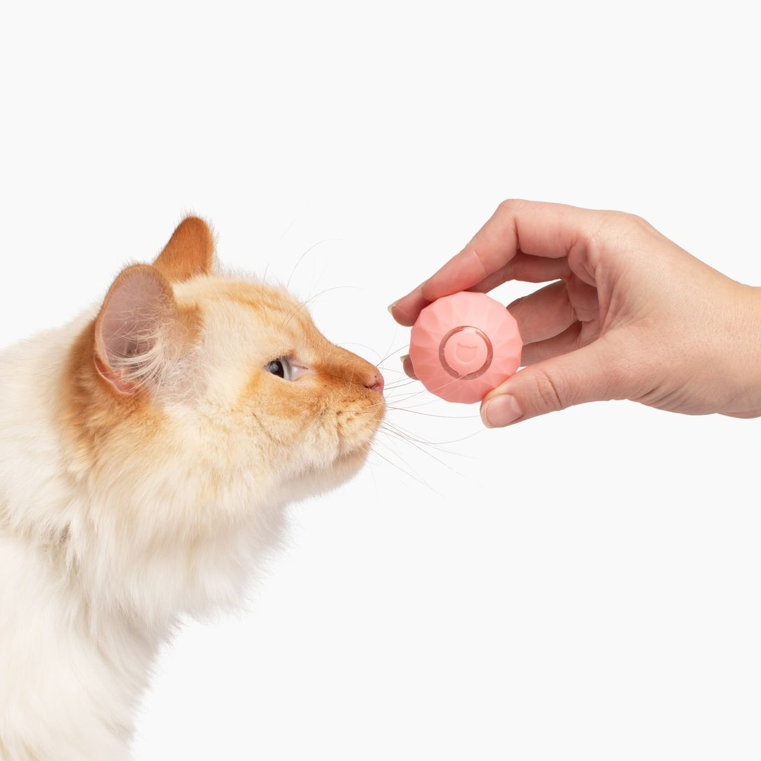 WhiskerWheel™ | Interactief krachtbalspeeltje voor katten
